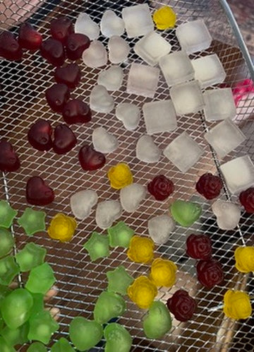 bio.bead.fruits