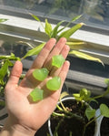 biomaterial recipe