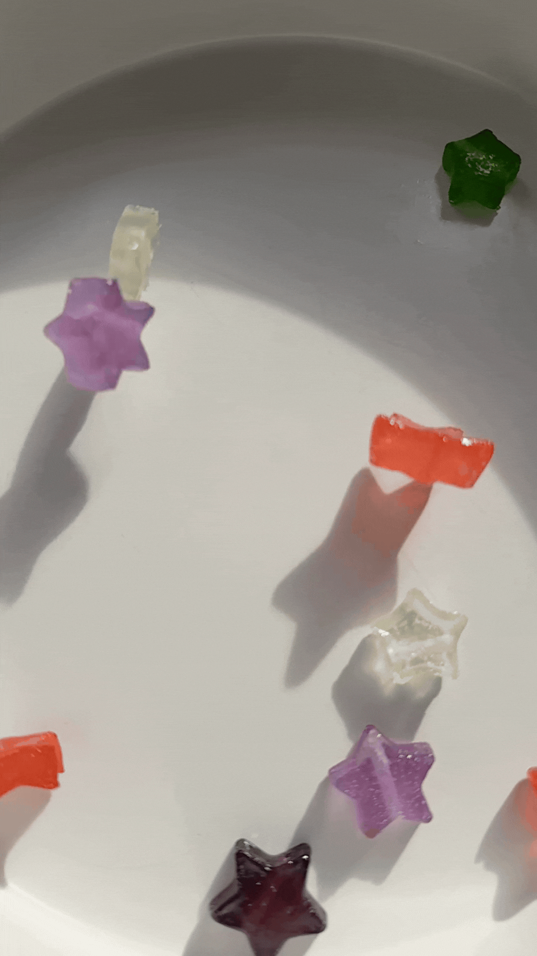 bio.bead.set