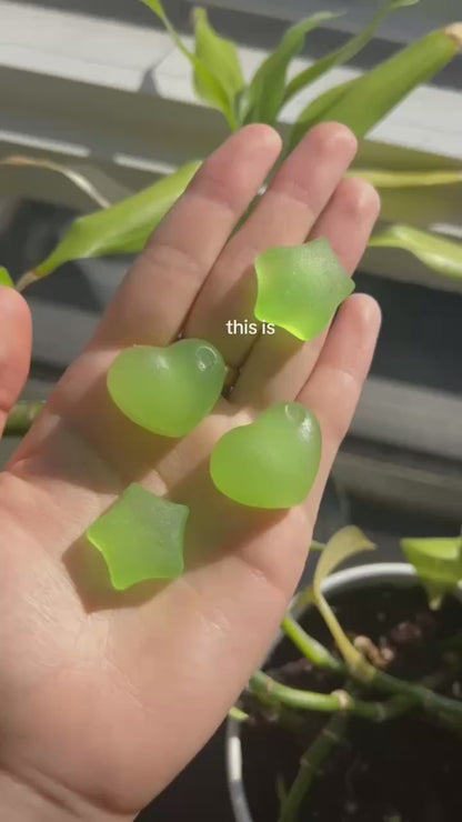 bio.bead.set